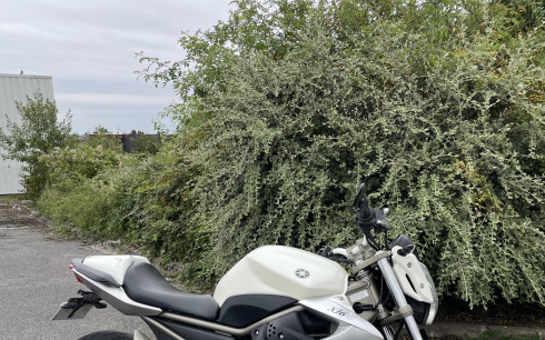 YAMAHA XJ6-N
