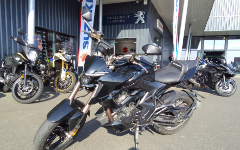 ZONTES 310 R