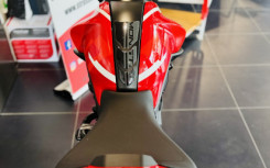 DUCATI MONSTER+ - NOMBREUSES OPTIONS - SUPERBE / MONSTER +