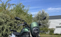 BENELLI LEONCINO 800