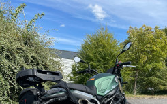 BENELLI LEONCINO 800