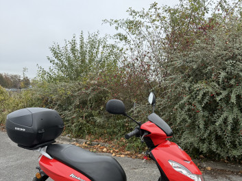 PEUGEOT KISBEE 50 4T