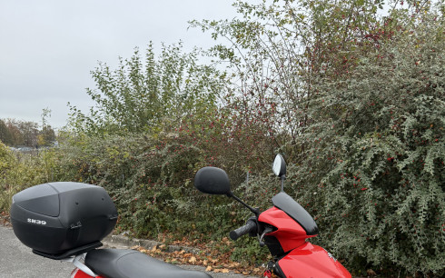 PEUGEOT KISBEE 50 4T