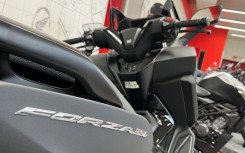 HONDA NSS FORZA 350 STB  MY24