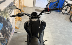 BENELLI 502C CRUISER