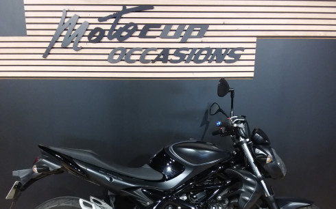 SUZUKI GLADIUS 650
